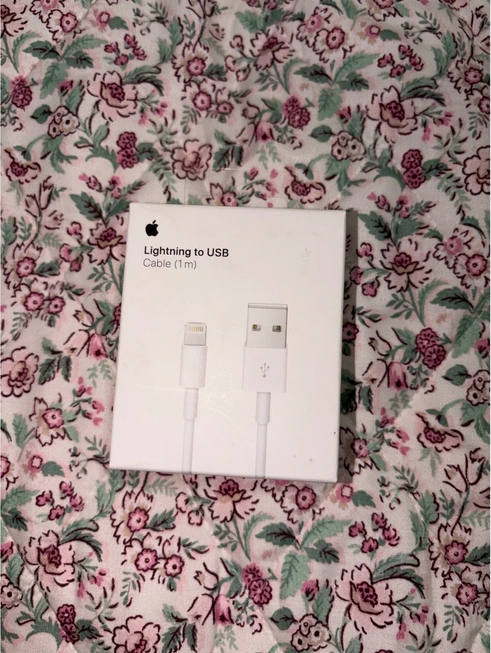 Apple Lightning to USB Cable (1m)